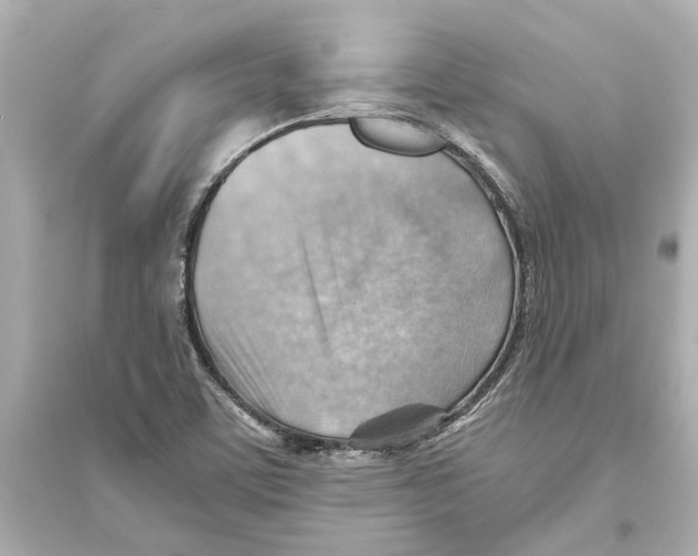 X0000093591459200711121113