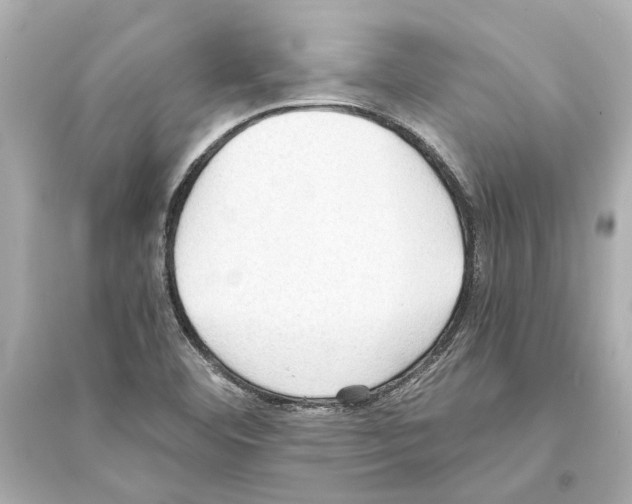 X0000093591460200711121113