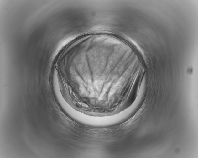 X0000093591461200711121113