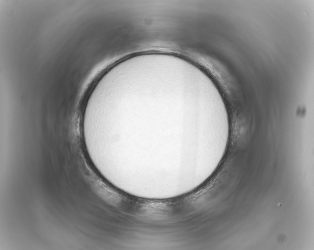 X0000093591462200711121113