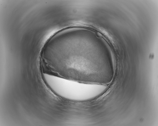 X0000093591463200711121113