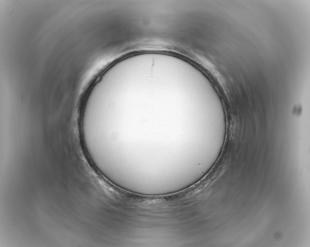 X0000093591464200711121113