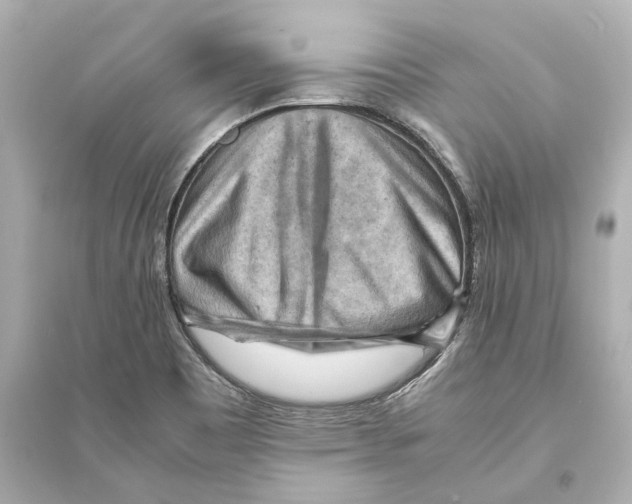 X0000093591465200711121113