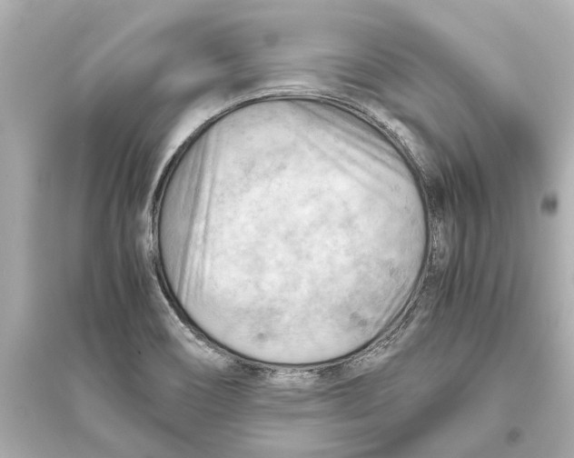 X0000093591466200711121113