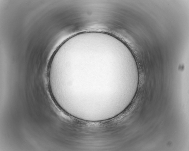 X0000093591470200711121113