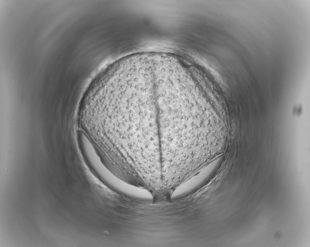 X0000093591471200711121113