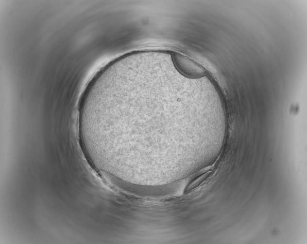 X0000093591472200711121113