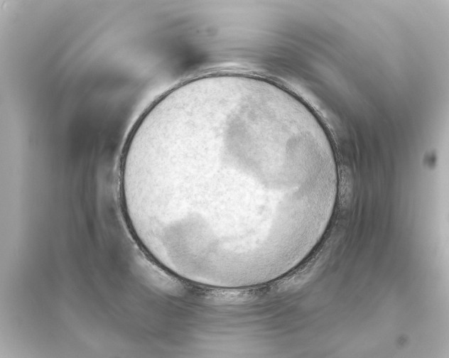 X0000093591474200711121113