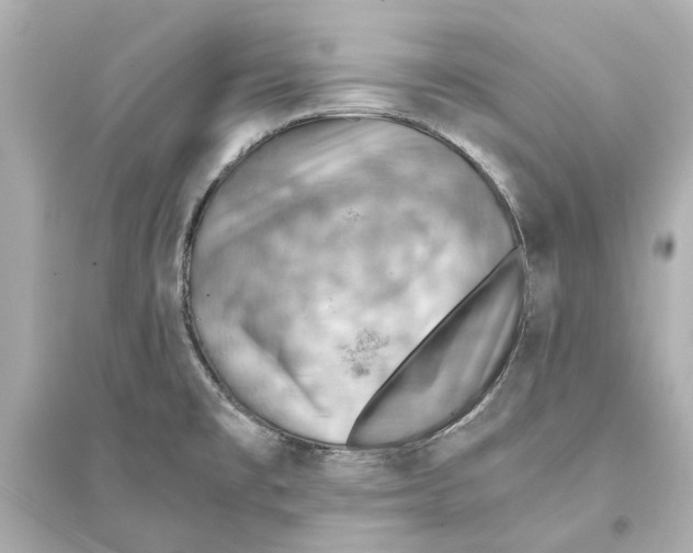 X0000093591477200711121113