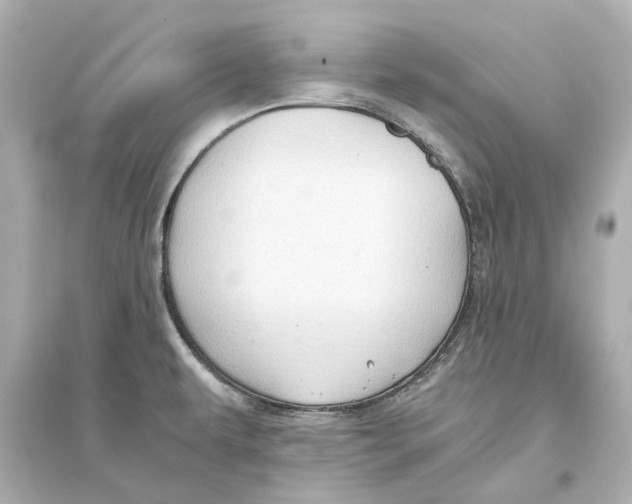 X0000093591479200711121113