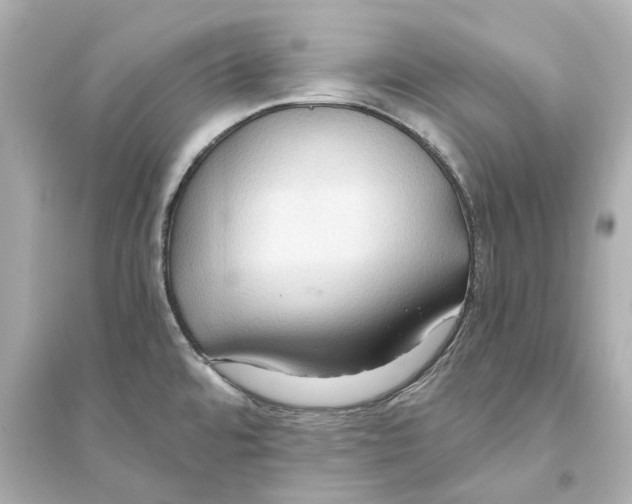 X0000093591480200711121113