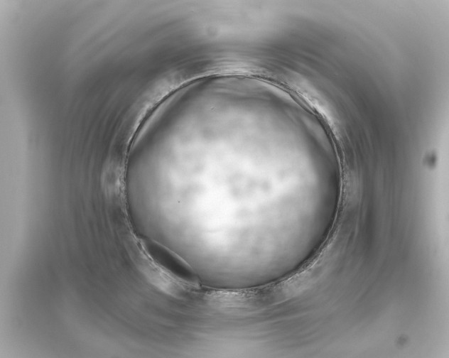 X0000093591481200711121113