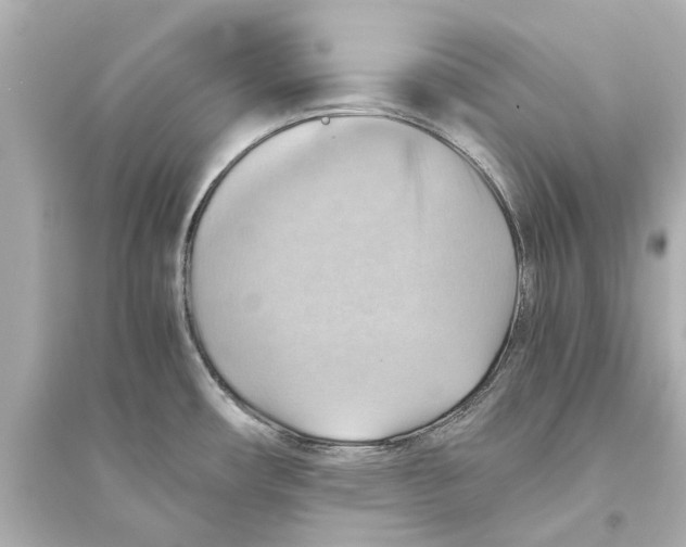 X0000093591482200711121113