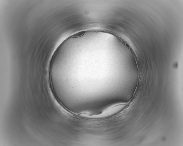 X0000093591483200711121113