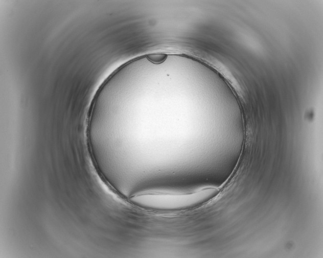 X0000093591484200711121113