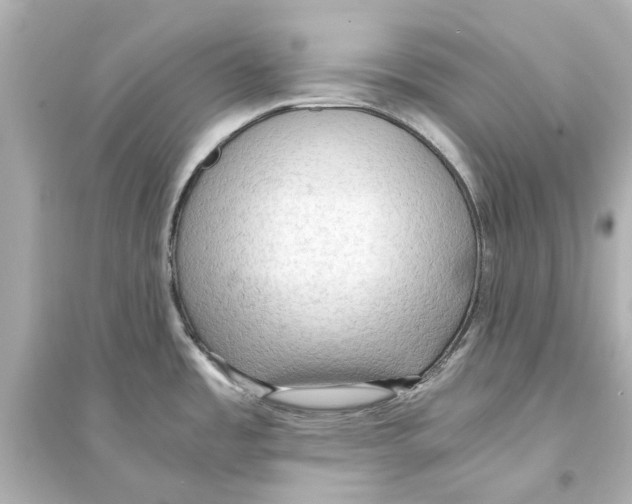 X0000093591485200711121113