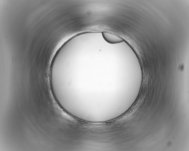 X0000093591486200711121113