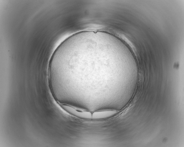 X0000093591487200711121113