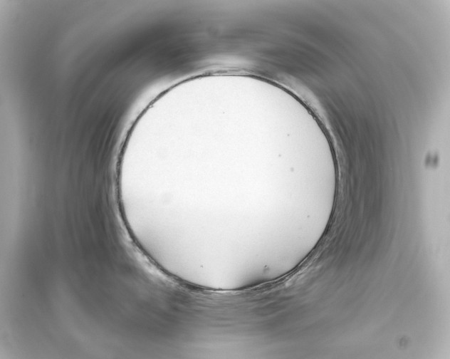X0000093591488200711121113