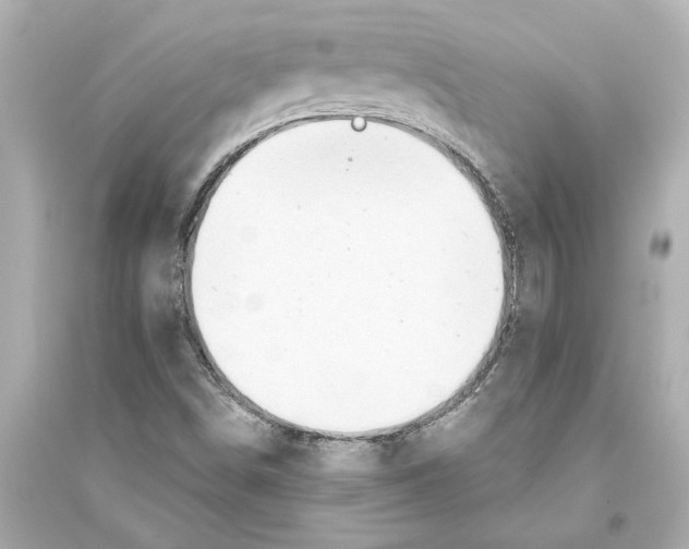 X0000093591498200711121112
