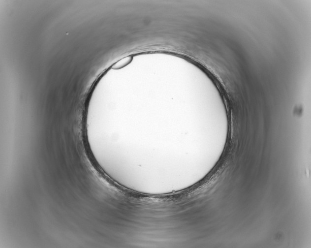 X0000093591500200711121112