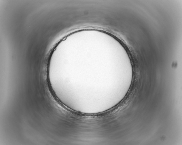 X0000093591504200711121112