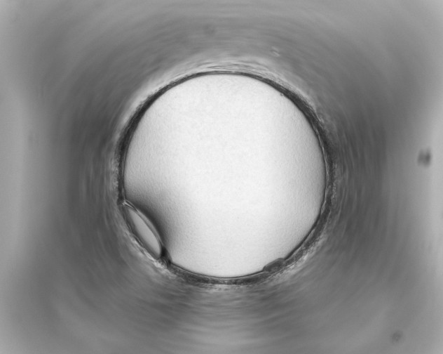 X0000093591506200711121112