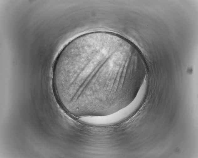 X0000093591508200711121112