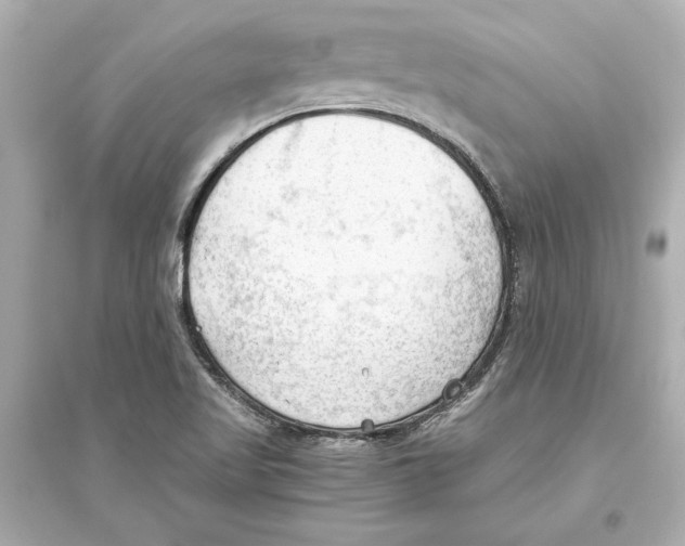 X0000093591509200711121112