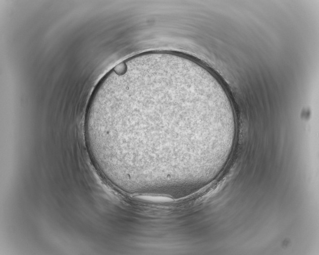 X0000093591513200711121112