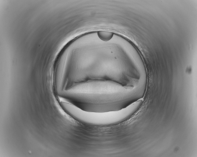 X0000093591515200711121112