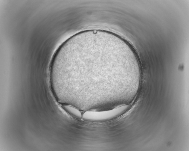 X0000093591517200711121112