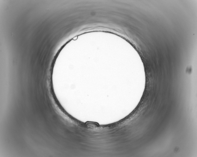 X0000093591518200711121112