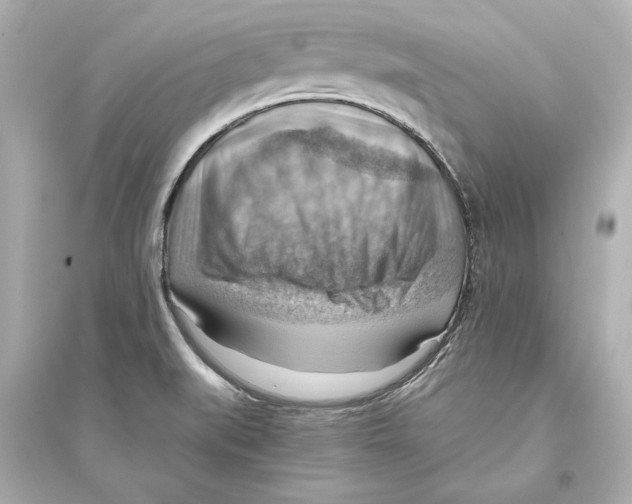 X0000093591519200711121112