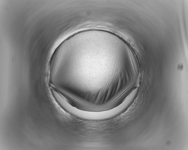 X0000093591520200711121112