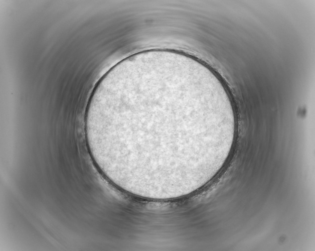 X0000093591521200711121112