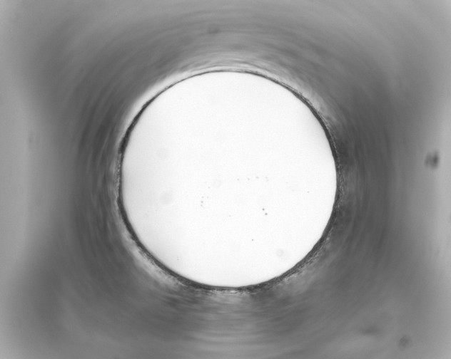 X0000093591526200711121112