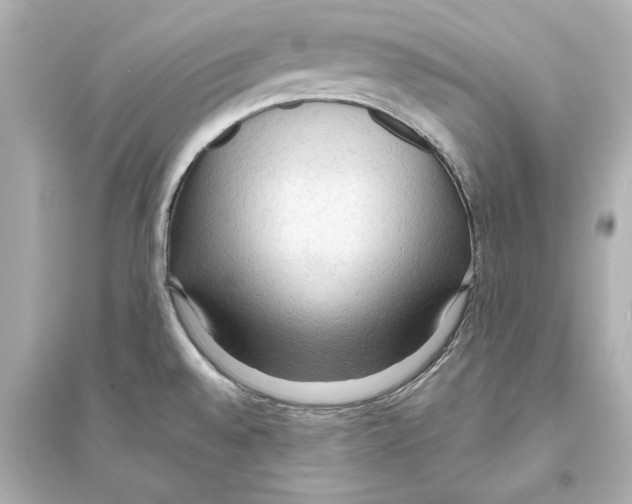 X0000093591528200711121112