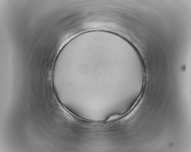 X0000093591529200711121112