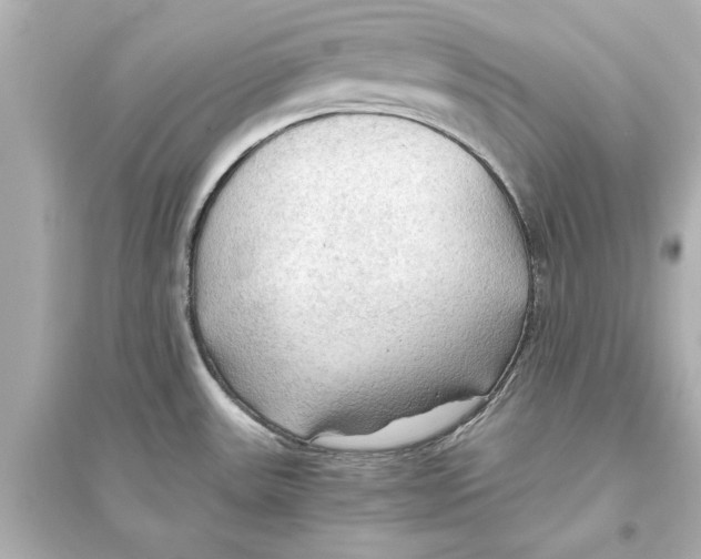 X0000093591531200711121113