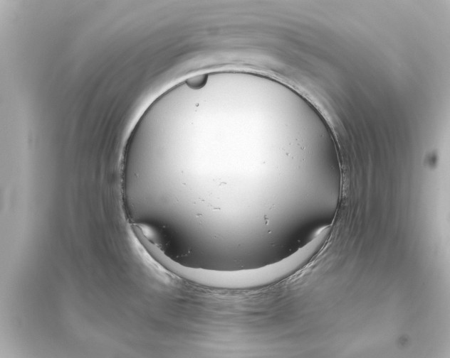 X0000093591532200711121113
