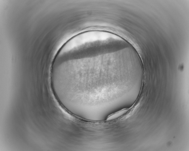 X0000093591533200711121113