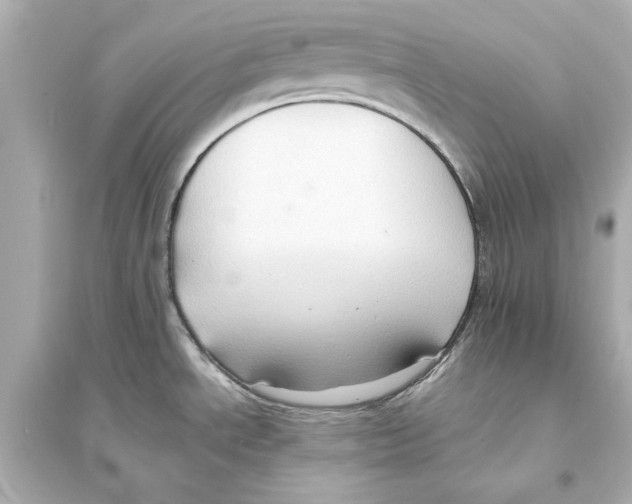 X0000093591534200711121113