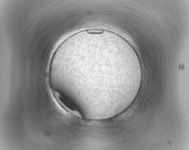 X0000093591536200711121113