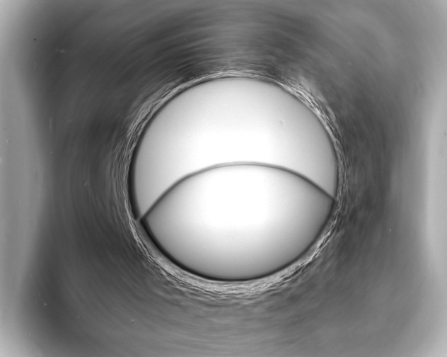 X0000093600001200710151006