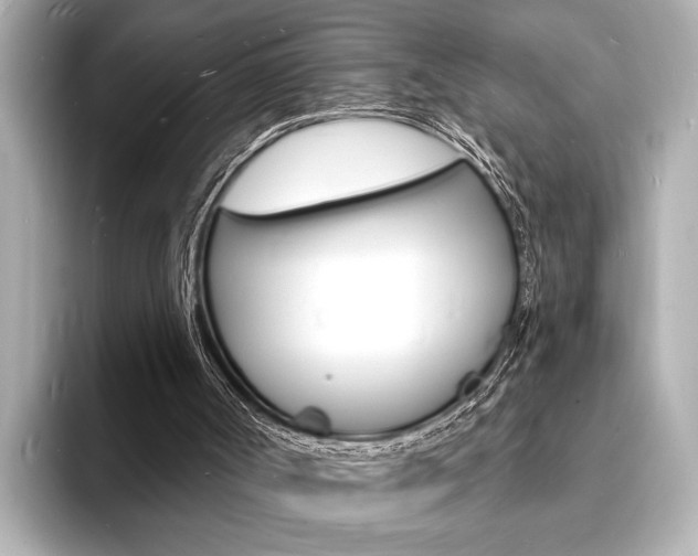 X0000093600002200710151006