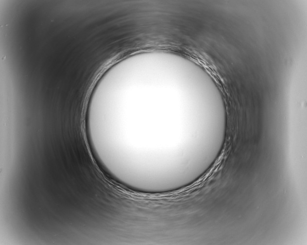 X0000093600003200710151006