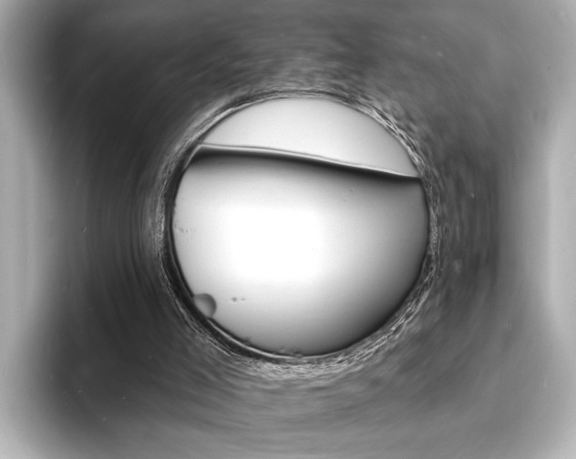 X0000093600005200710151006