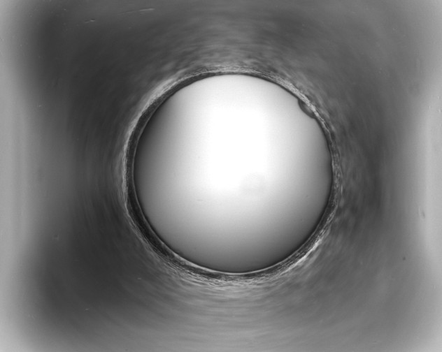 X0000093600008200710151006