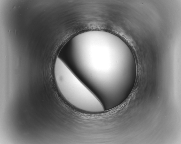 X0000093600009200710151006